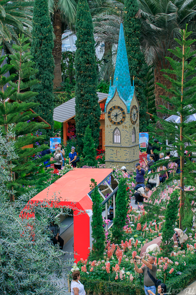 Canon EOS 7D Mark II - EF70-300mm f/4-5.6L IS USM