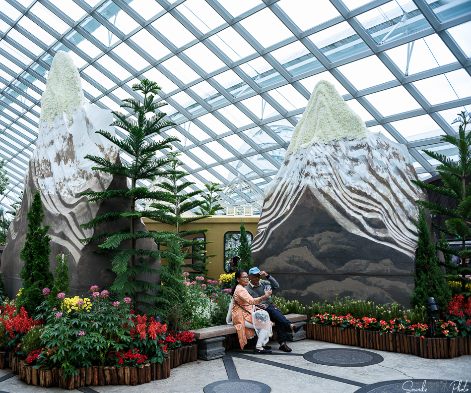 GFX100S II - Viltrox Canon EF 35mm f/2