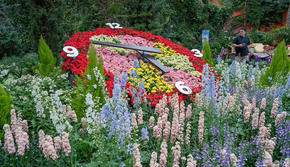 GFX100S II - Viltrox Canon EF 35mm f/2