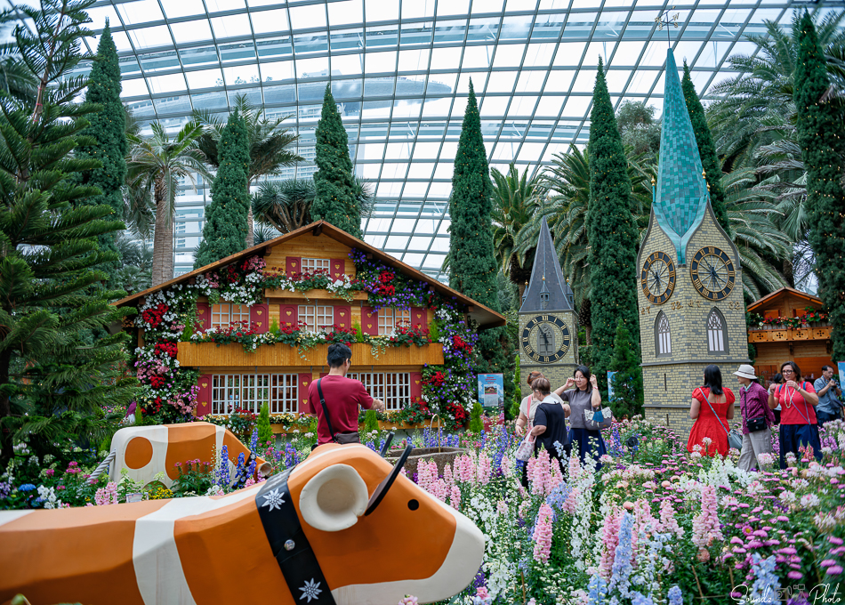 GFX100S II - Viltrox Canon EF 35mm f/2