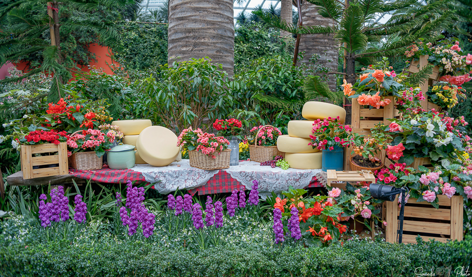 GFX100S II - Viltrox Canon EF 35mm f/2