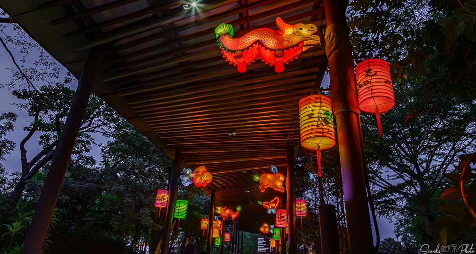 ILCE-7M3 - EF24-105/4L IS USM