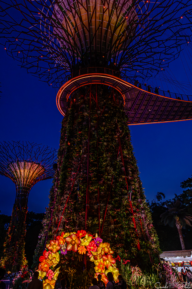 ILCE-7M3 - EF24-105/4L IS USM