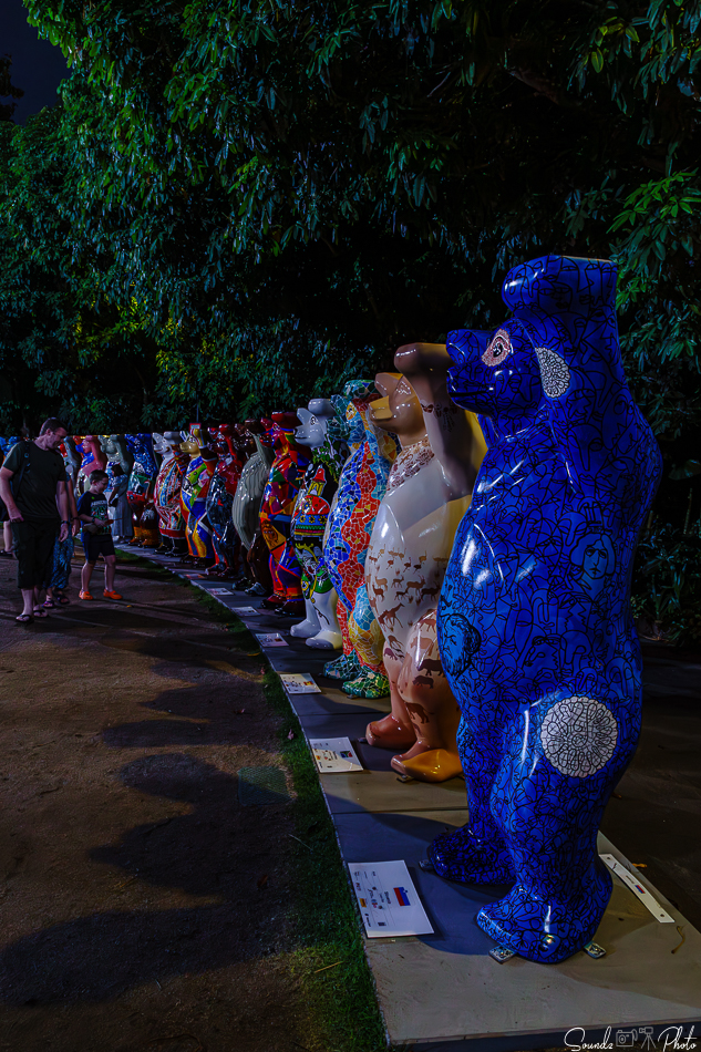 ILCE-7M3 - EF24-105/4L IS USM