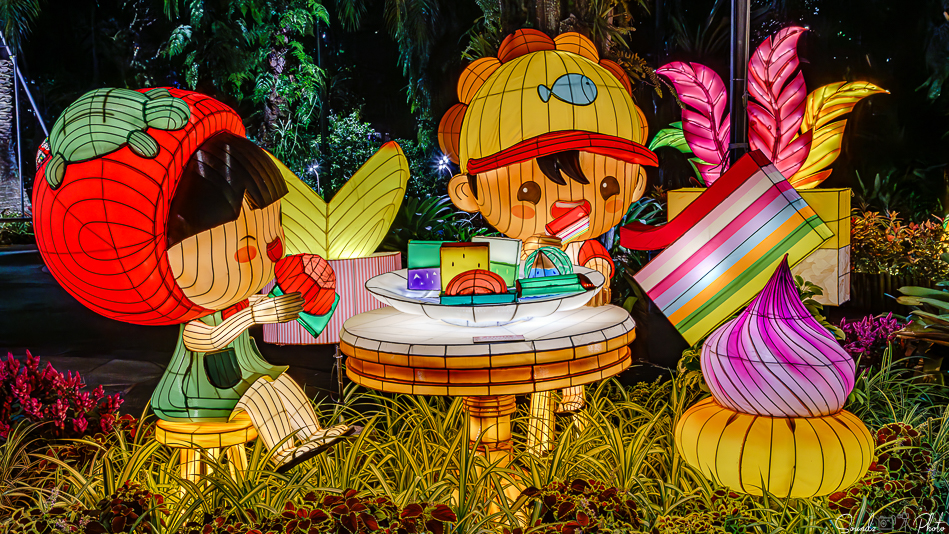 ILCE-7M3 - EF24-105/4L IS USM