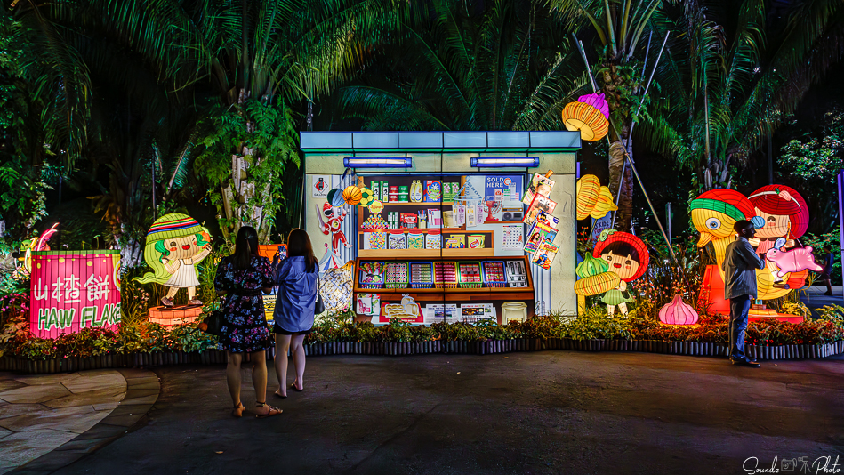 ILCE-7M3 - EF24-105/4L IS USM