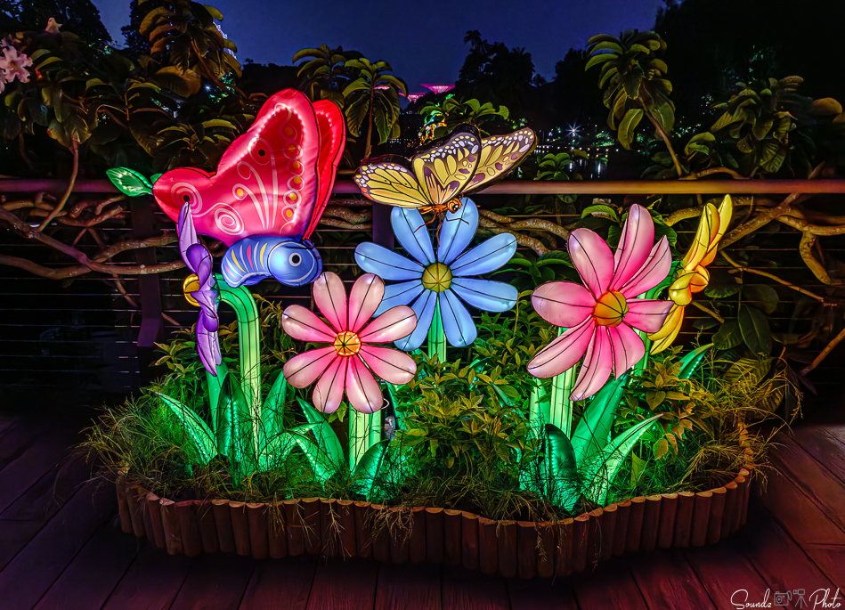 ILCE-7M3 - EF24-105/4L IS USM