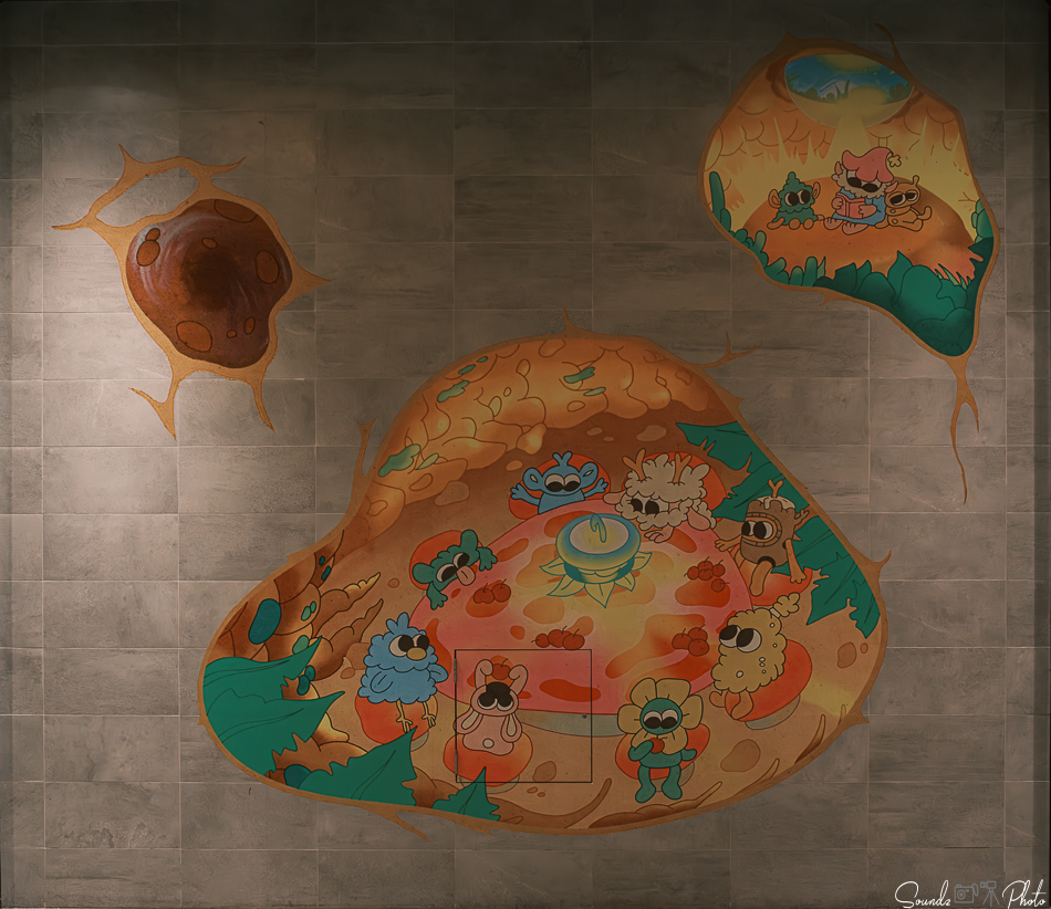 GFX100S II - Viltrox Canon EF 35mm f/2