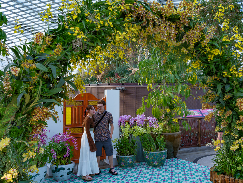 GFX100S II - Viltrox Canon EF 35mm f/2