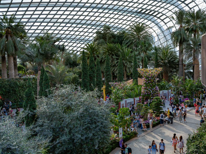 GFX100S II - Viltrox Canon EF 35mm f/2