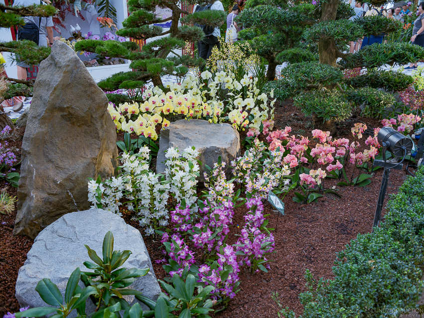 GFX100S II - Viltrox Canon EF 35mm f/2