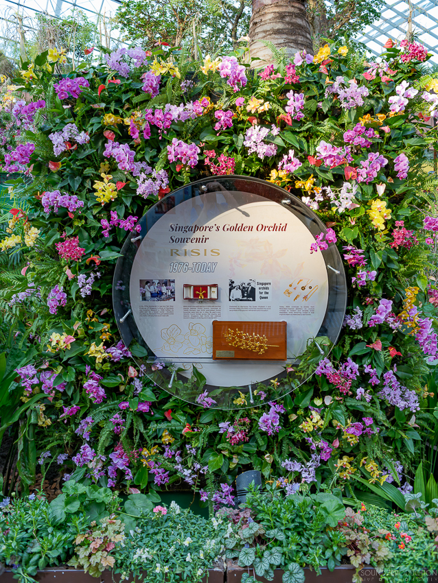 GFX100S II - Viltrox Canon EF 35mm f/2