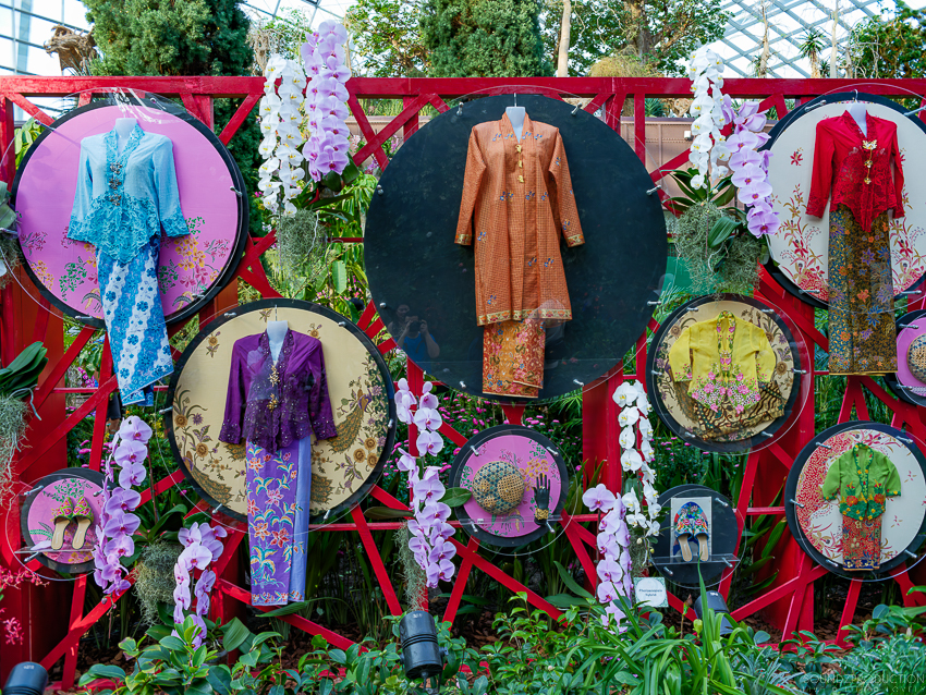 GFX100S II - Viltrox Canon EF 35mm f/2