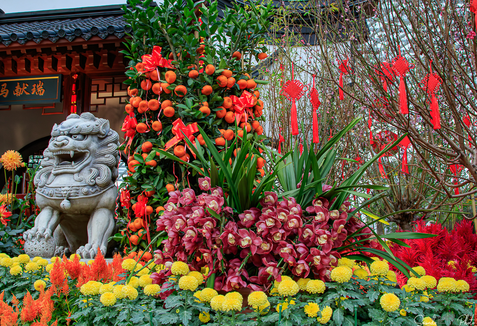 Canon EOS 7D Mark II - EF24-105mm f/4L IS USM