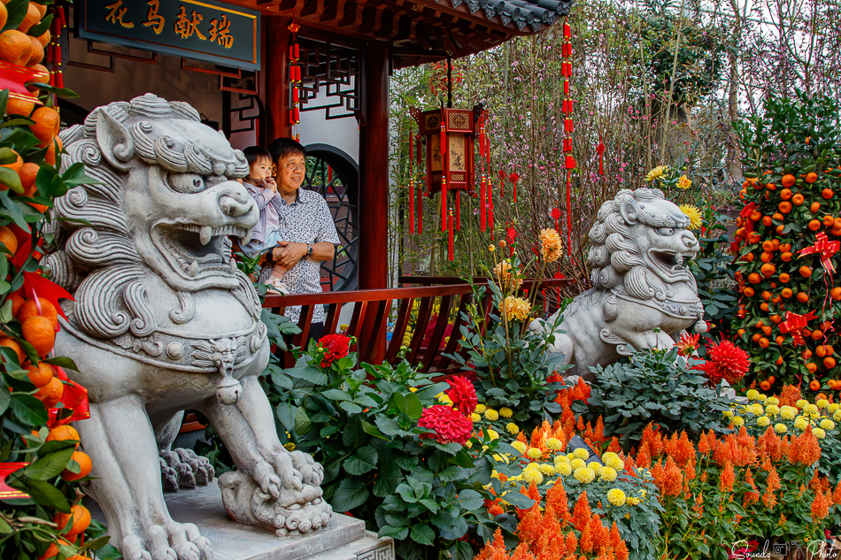 Canon EOS 7D Mark II - EF24-105mm f/4L IS USM