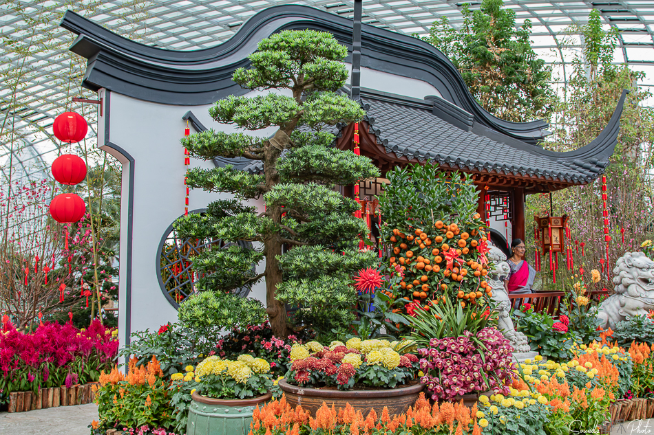 Canon EOS 7D Mark II - EF24-105mm f/4L IS USM