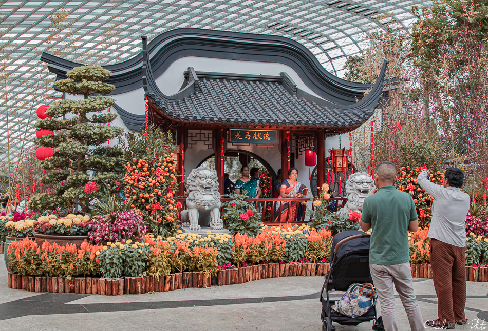 Canon EOS 7D Mark II - EF24-105mm f/4L IS USM