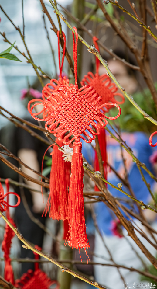 Canon EOS 7D Mark II - EF24-105mm f/4L IS USM