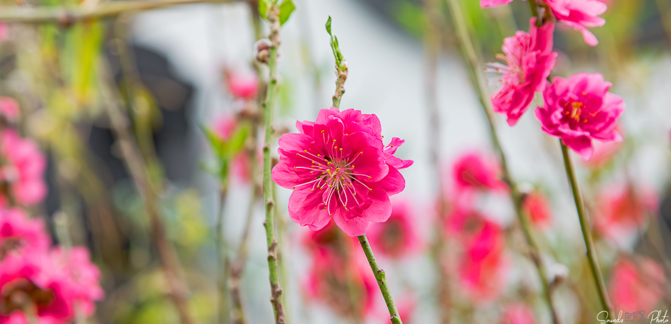 Canon EOS 7D Mark II - EF24-105mm f/4L IS USM