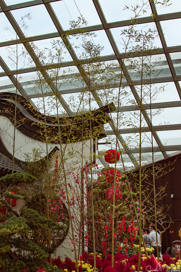 Canon EOS 7D Mark II - EF24-105mm f/4L IS USM