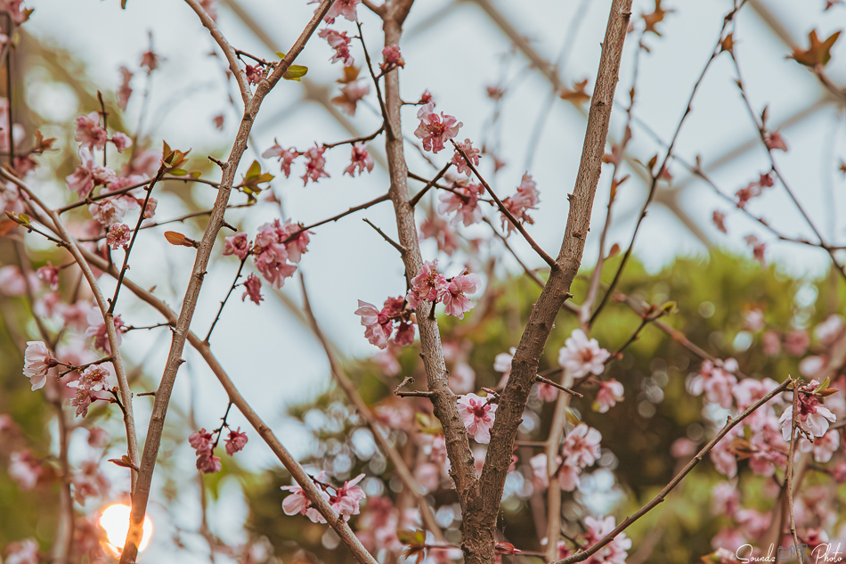 Canon EOS 7D Mark II - EF24-105mm f/4L IS USM