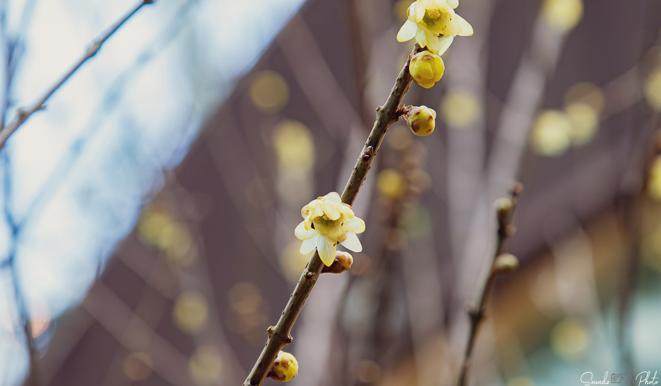 Canon EOS 7D Mark II - EF24-105mm f/4L IS USM