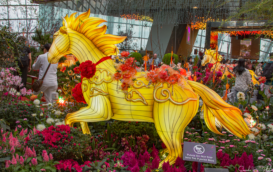 Canon EOS 7D Mark II - EF24-105mm f/4L IS USM