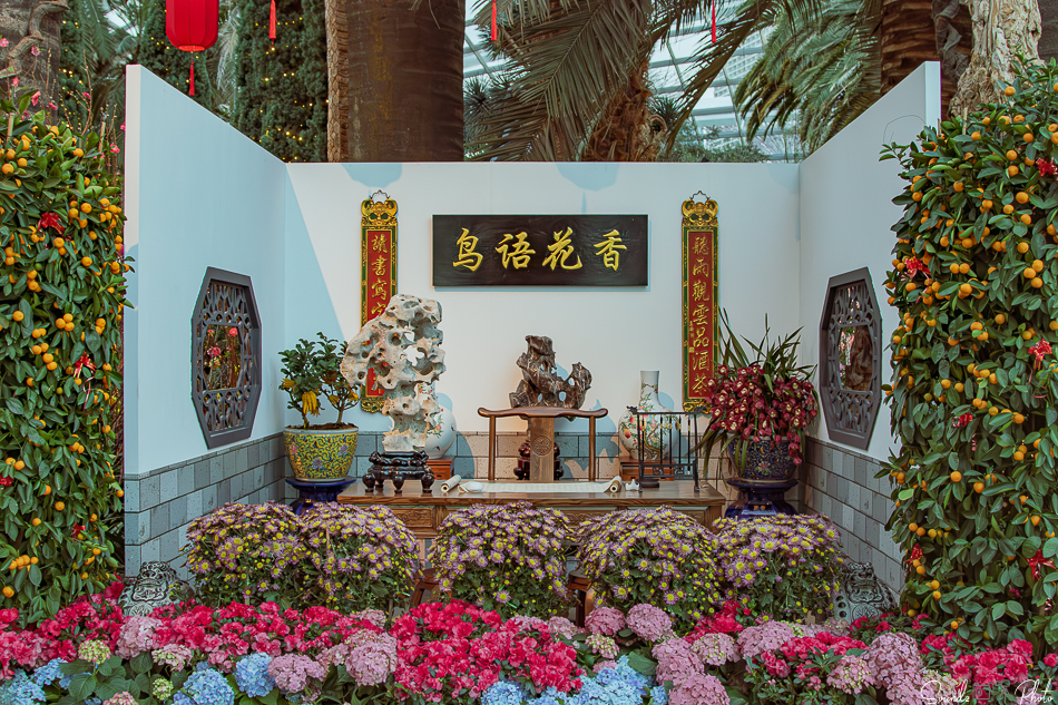 Canon EOS 7D Mark II - EF24-105mm f/4L IS USM