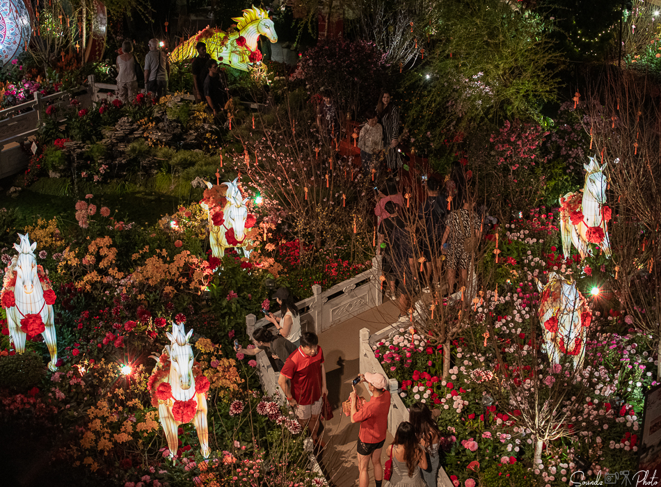 ILCE-7M3 - EF70-300mm f/4-5.6L IS USM