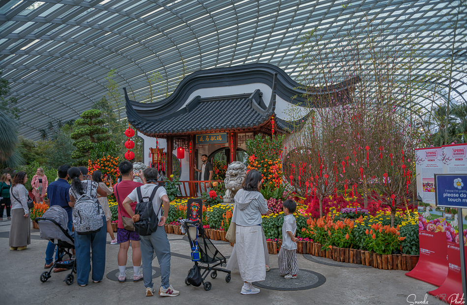 GFX100S II - Viltrox Canon EF 35mm f/2