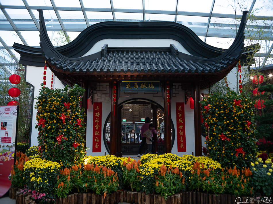 GFX100S II - Viltrox Canon EF 35mm f/2