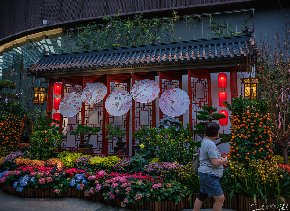 GFX100S II - Viltrox Canon EF 35mm f/2