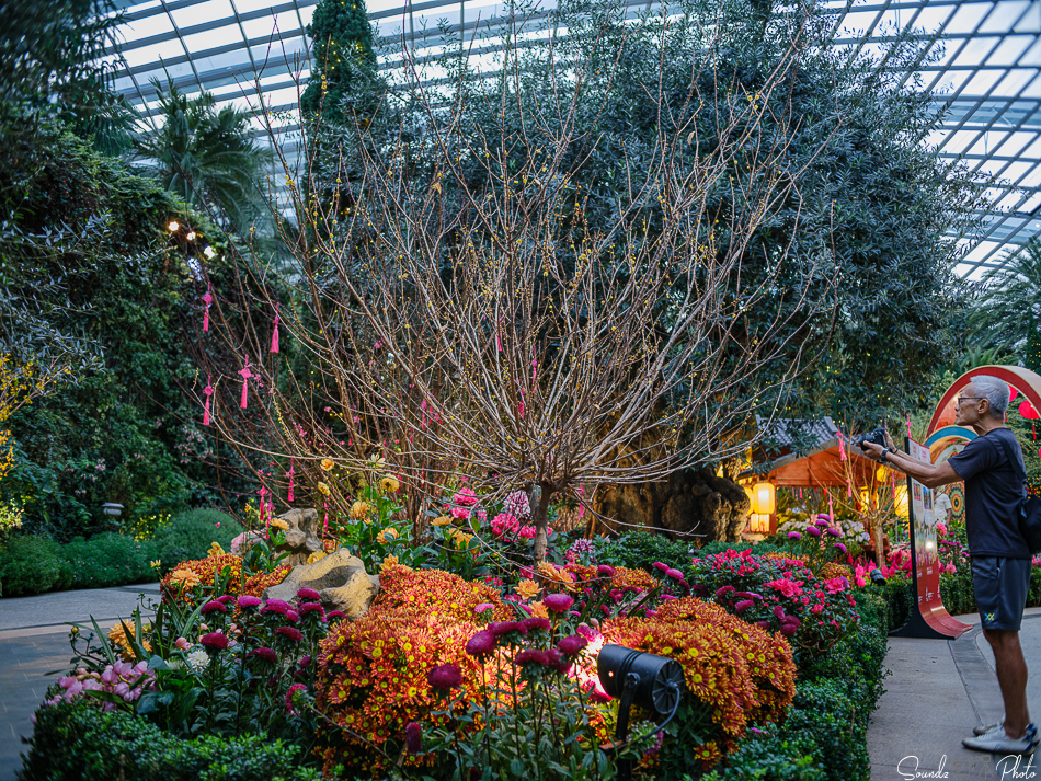 GFX100S II - Viltrox Canon EF 35mm f/2