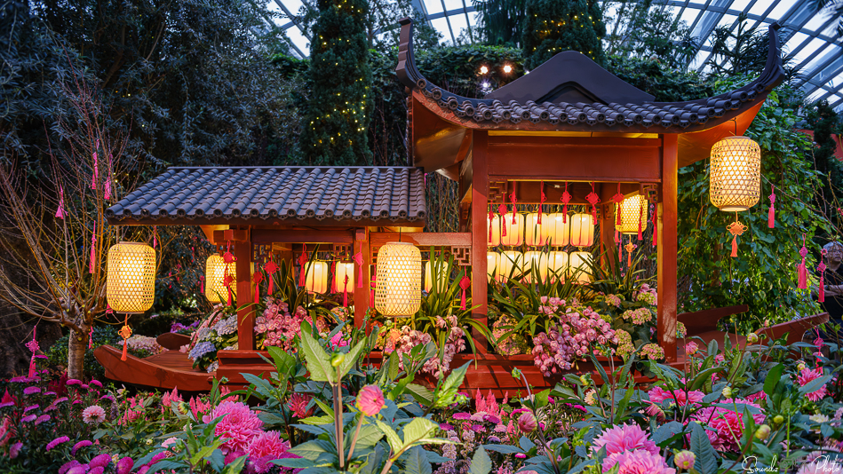 GFX100S II - Viltrox Canon EF 35mm f/2