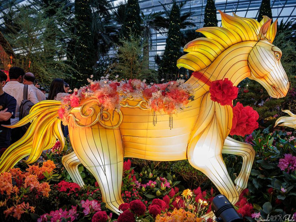 GFX100S II - Viltrox Canon EF 35mm f/2