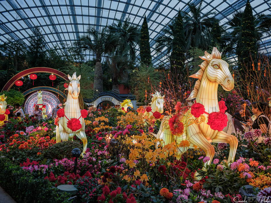 GFX100S II - Viltrox Canon EF 35mm f/2