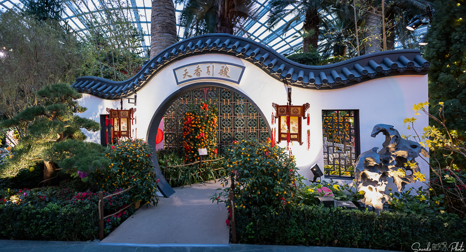 GFX100S II - Viltrox Canon EF 35mm f/2