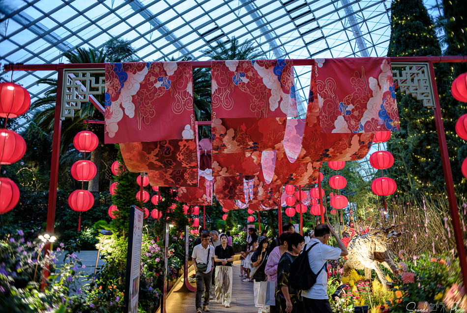 GFX100S II - Viltrox Canon EF 35mm f/2