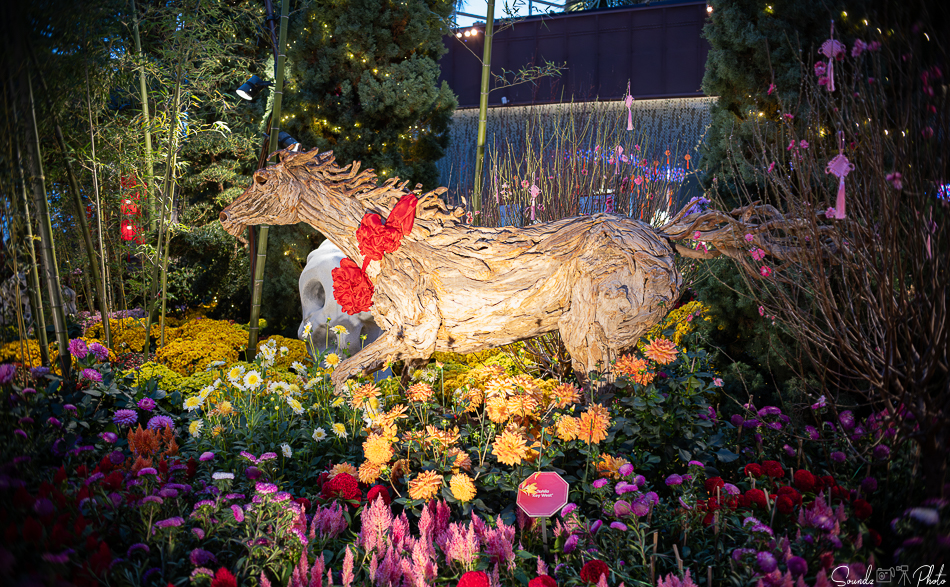 GFX100S II - Viltrox Canon EF 35mm f/2