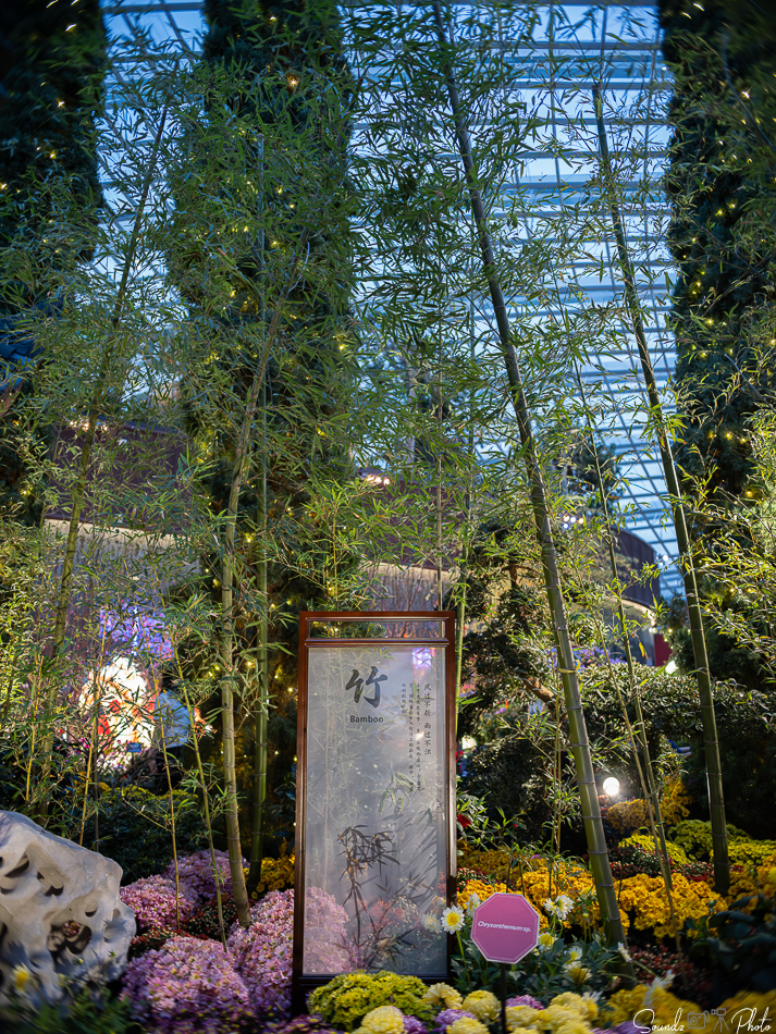 GFX100S II - Viltrox Canon EF 35mm f/2