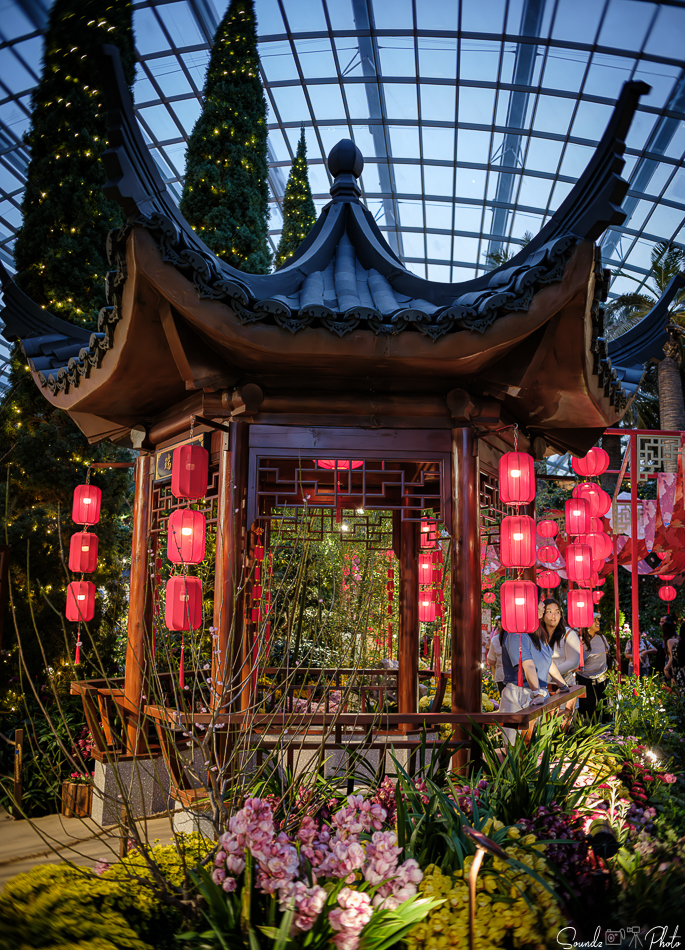 GFX100S II - Viltrox Canon EF 35mm f/2