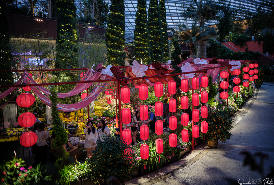 GFX100S II - Viltrox Canon EF 35mm f/2