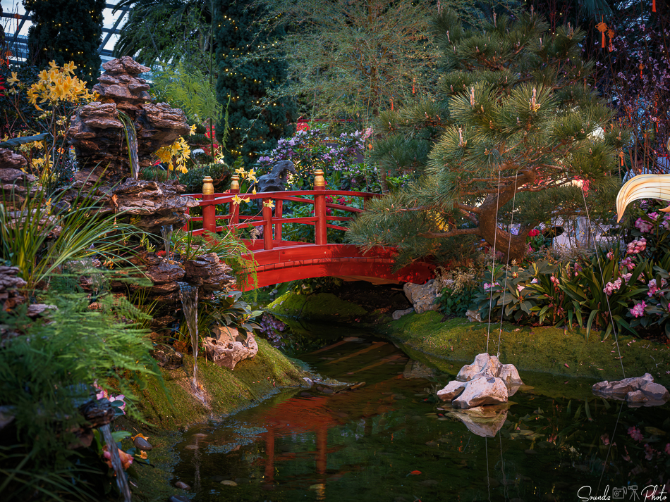 GFX100S II - Viltrox Canon EF 50mm f/1.8 II