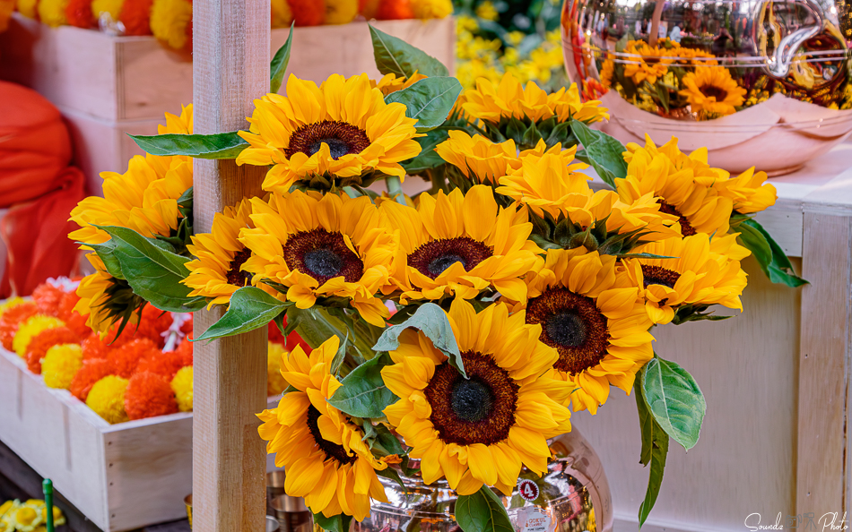 Canon EOS 7D Mark II - EF24-105mm f/4L IS USM