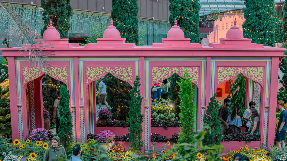 Canon EOS 7D Mark II - EF24-105mm f/4L IS USM