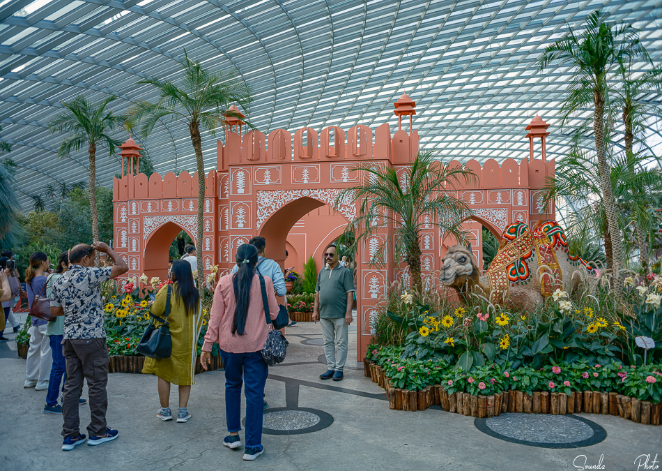 GFX100S II - Viltrox Canon EF 35mm f/2