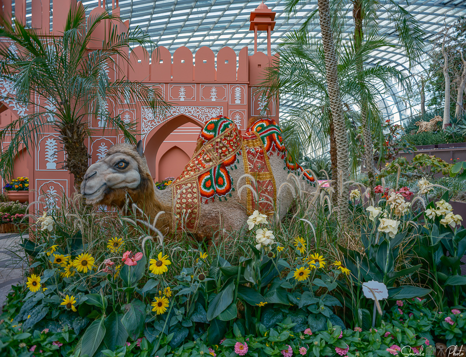 GFX100S II - Viltrox Canon EF 35mm f/2