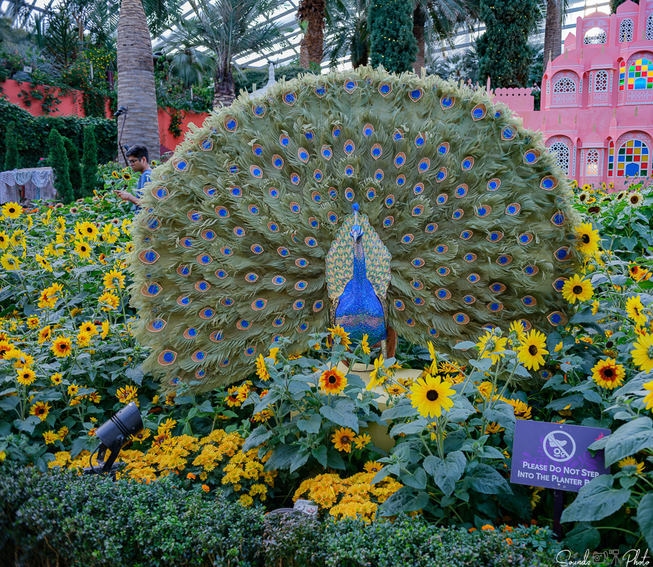 GFX100S II - Viltrox Canon EF 35mm f/2