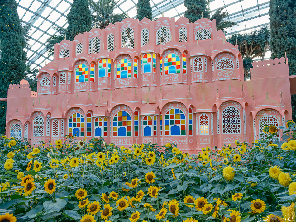 GFX100S II - Viltrox Canon EF 35mm f/2