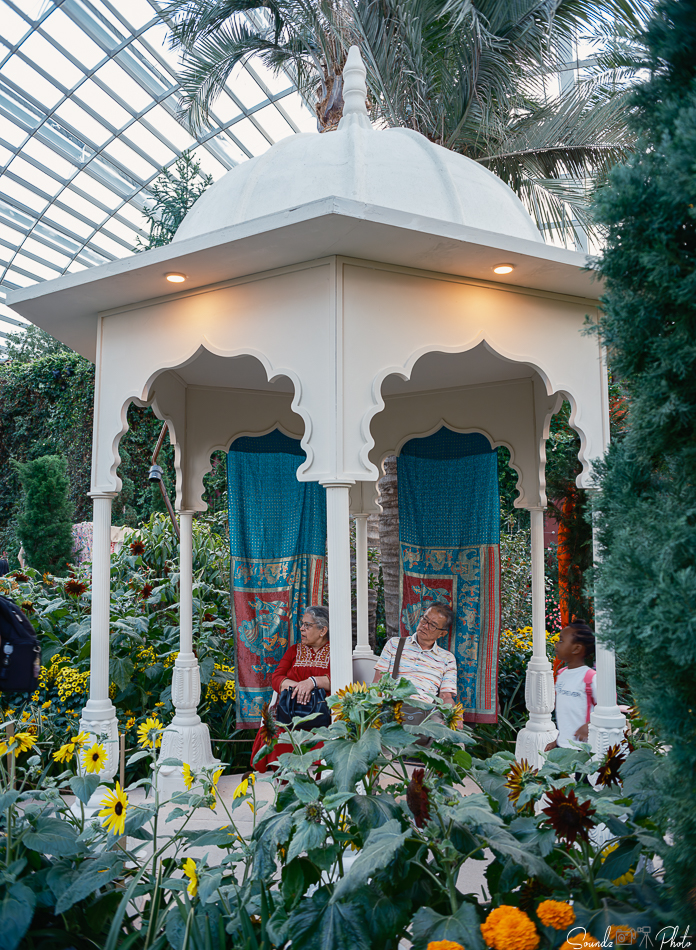 GFX100S II - Viltrox Canon EF 35mm f/2